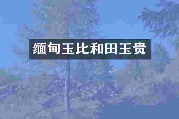 缅甸玉比和田玉贵