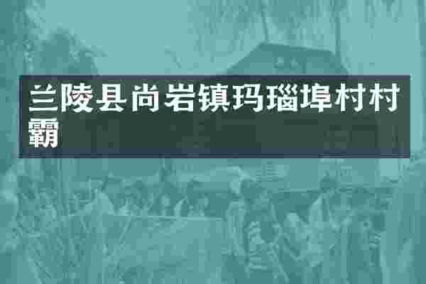 兰陵县尚岩镇玛瑙埠村村霸
