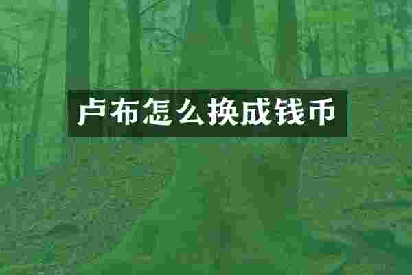 卢布怎么换成钱币