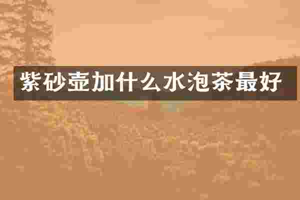 紫砂壶加什么水泡茶最好