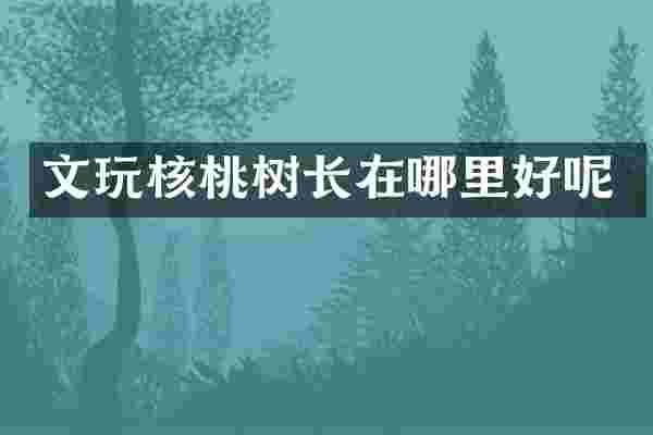 文玩核桃树长在哪里好呢