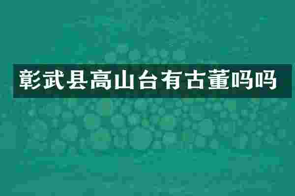 彰武县高山台有古董吗吗