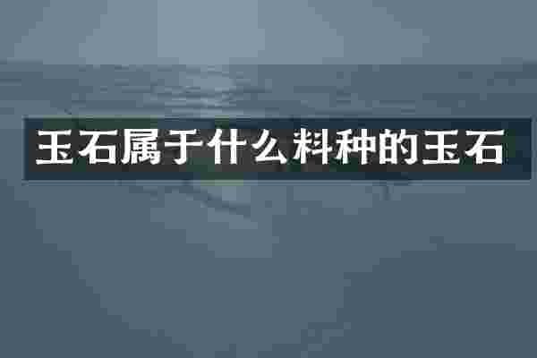 玉石属于什么料种的玉石