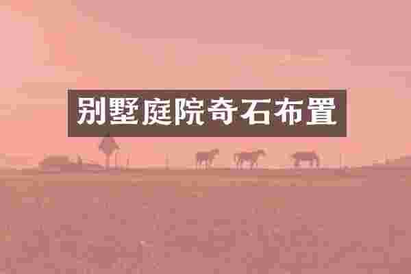 别墅庭院奇石布置