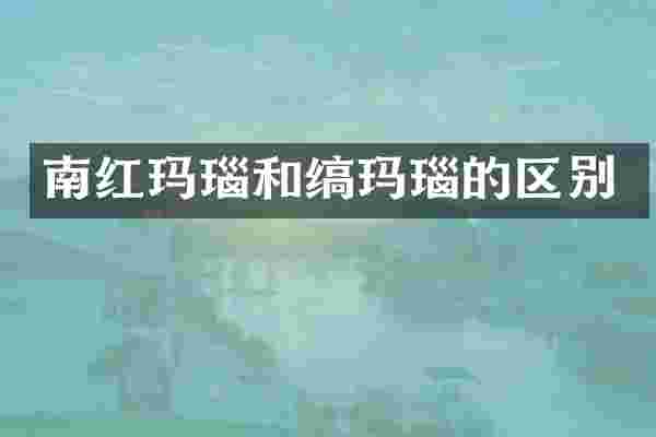南红玛瑙和缟玛瑙的区别