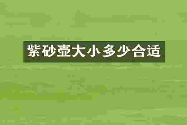 紫砂壶大小多少合适