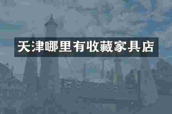 天津哪里有收藏家具店