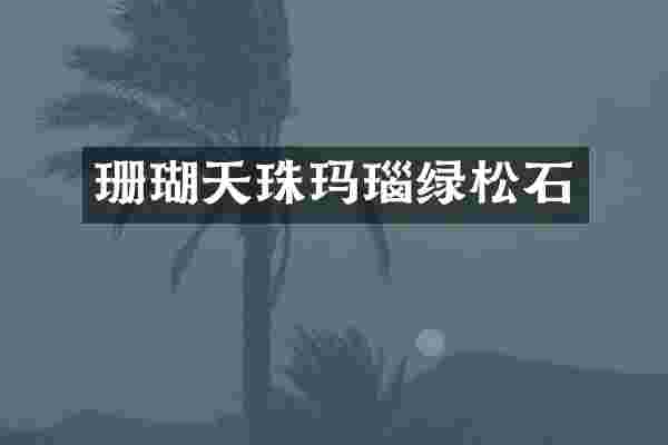 珊瑚天珠玛瑙绿松石