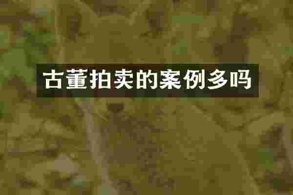 古董拍卖的案例多吗