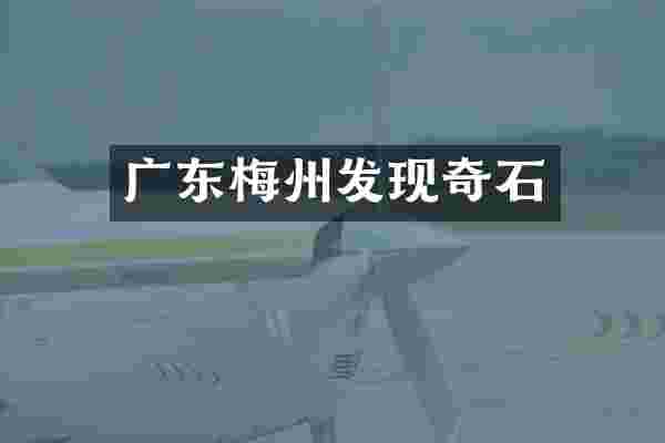 广东梅州发现奇石