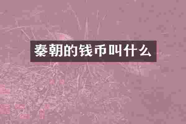 秦朝的钱币叫什么