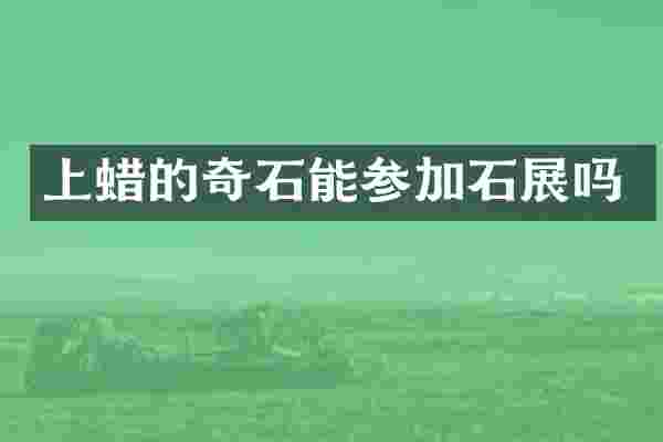 上蜡的奇石能参加石展吗