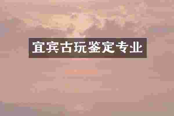 宜宾古玩鉴定专业