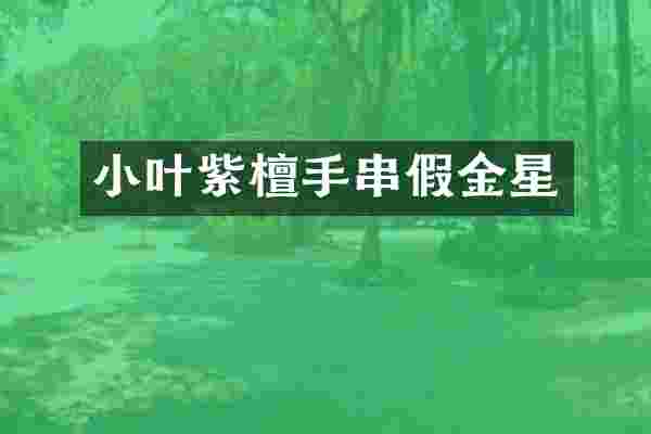 小叶紫檀手串假金星