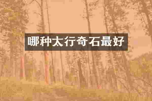 哪种太行奇石最好