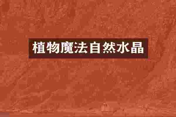 植物魔法自然水晶