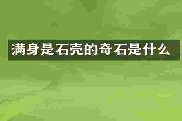 满身是石壳的奇石是什么