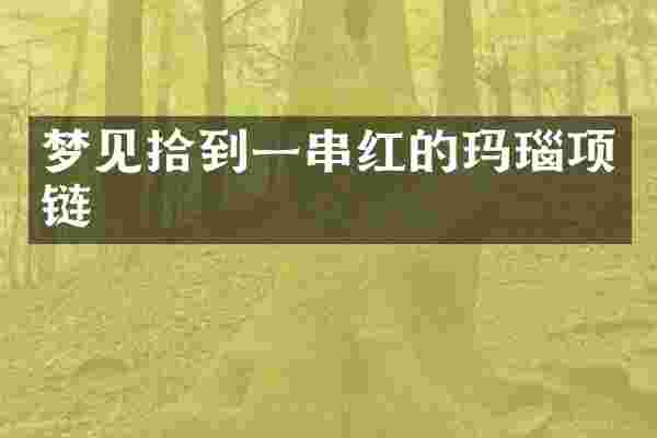梦见拾到一串红的玛瑙项链