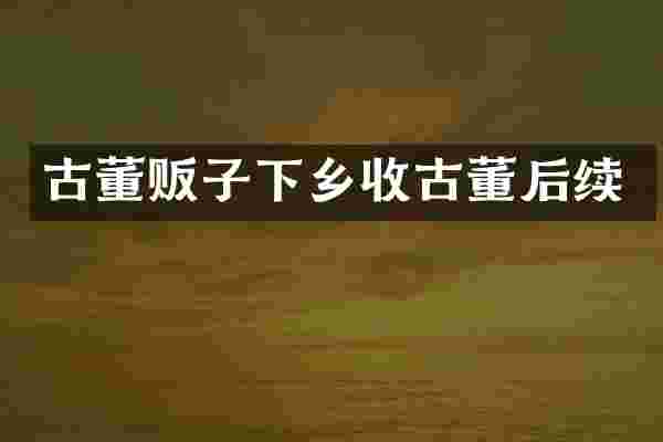 古董贩子下乡收古董后续