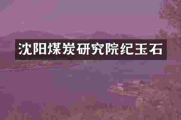 沈阳煤炭研究院纪玉石