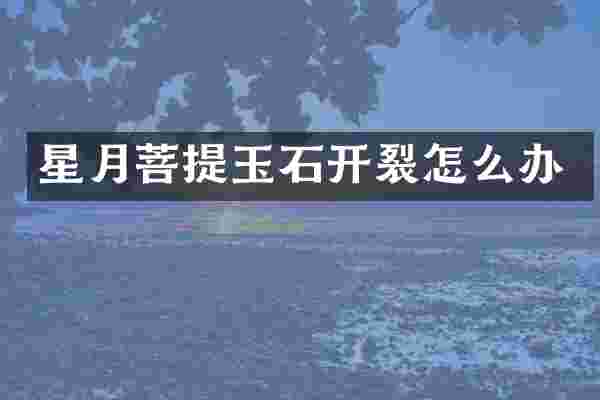 星月菩提玉石开裂怎么办