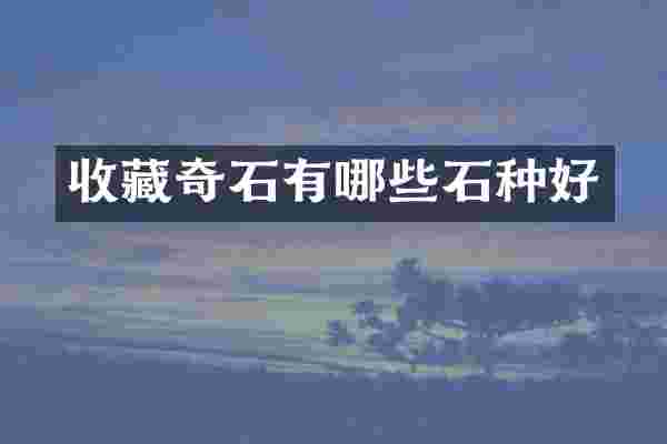 收藏奇石有哪些石种好