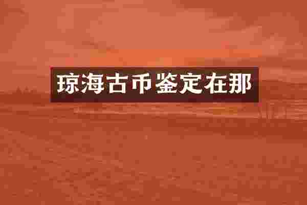 琼海古币鉴定在那