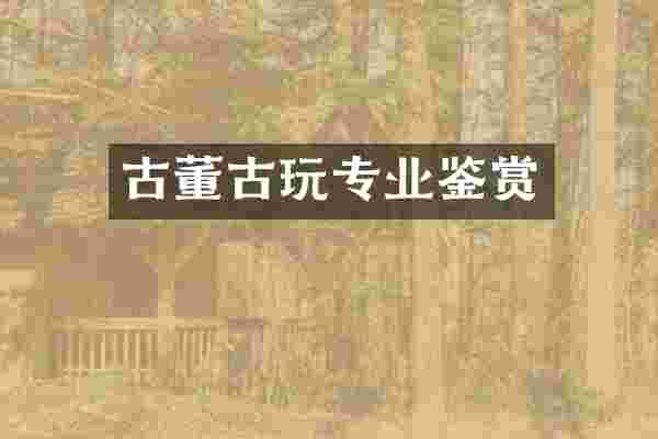 古董古玩专业鉴赏