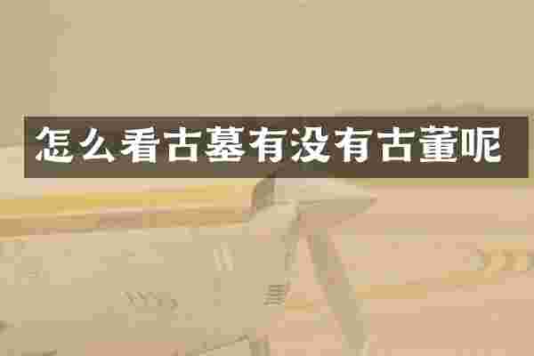 怎么看古墓有没有古董呢
