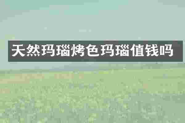 天然玛瑙烤色玛瑙值钱吗