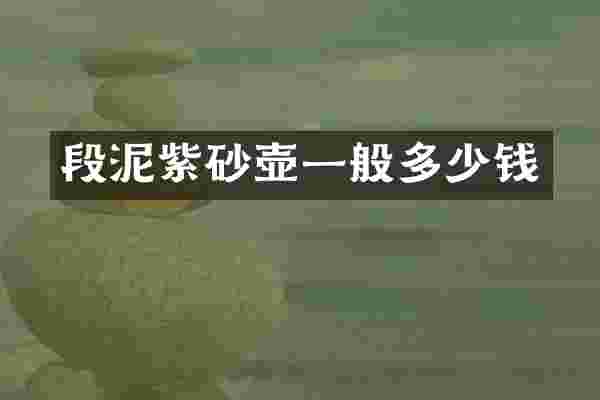 段泥紫砂壶一般多少钱