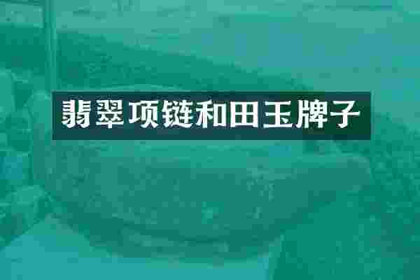翡翠项链和田玉牌子