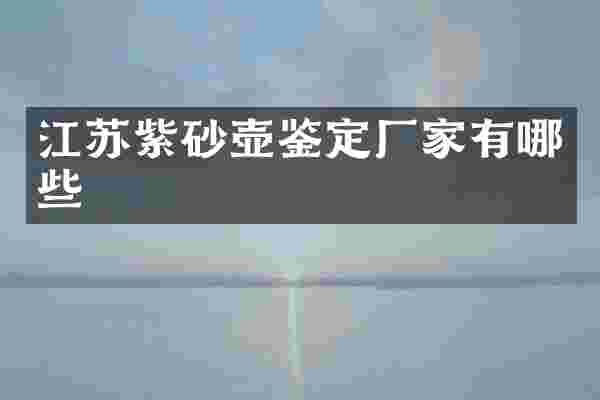 江苏紫砂壶鉴定厂家有哪些