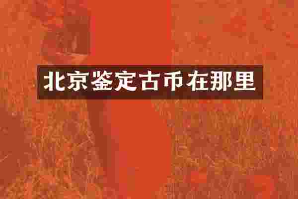 北京鉴定古币在那里
