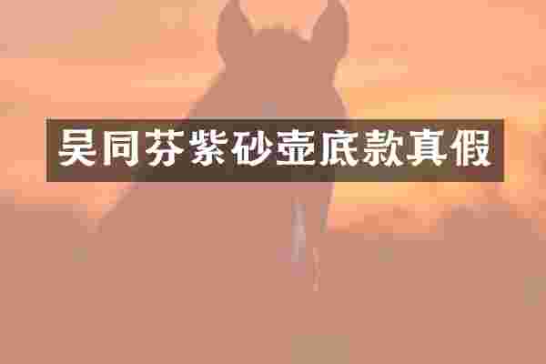 吴同芬紫砂壶底款真假