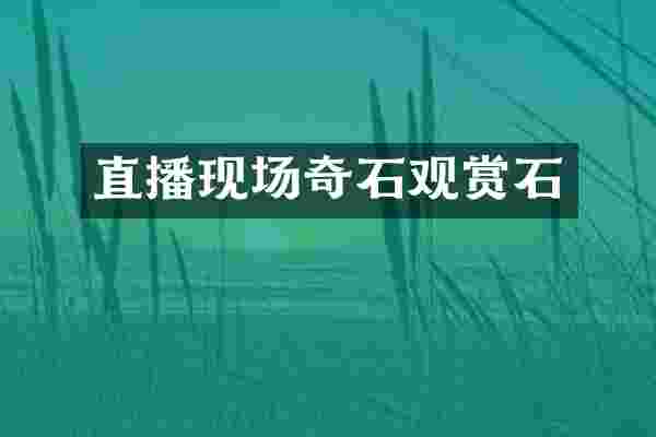 直播现场奇石观赏石