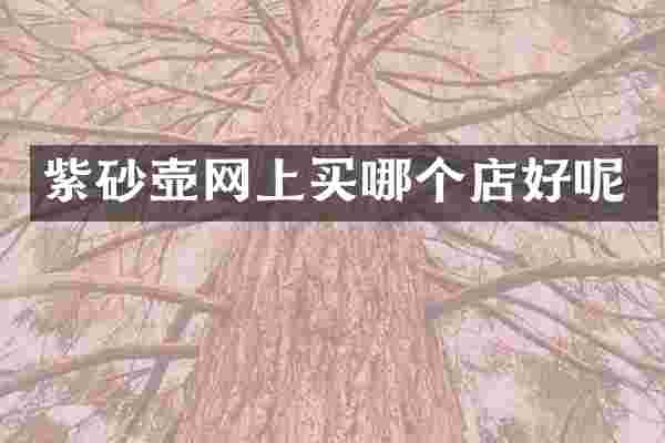 紫砂壶网上买哪个店好呢