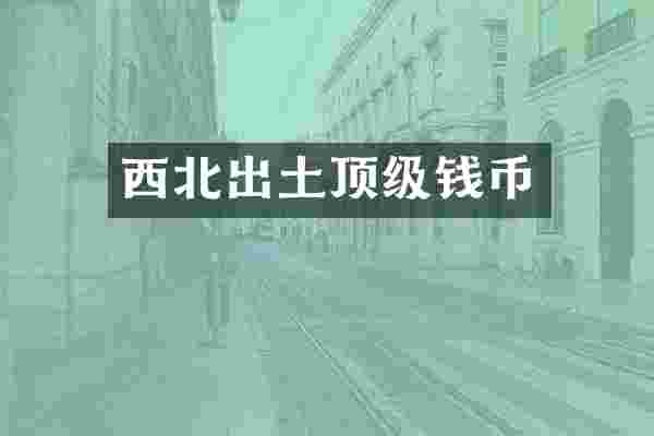 西北出土顶级钱币