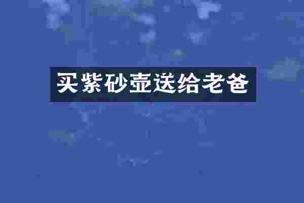 买紫砂壶送给老爸