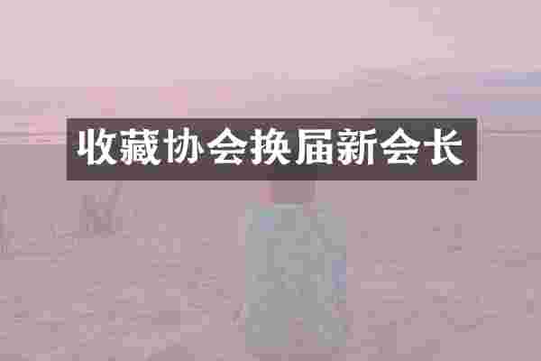 收藏协会换届新会长