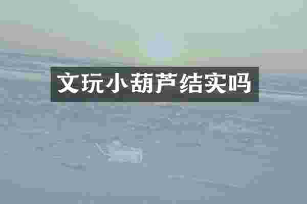 文玩小葫芦结实吗