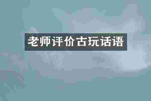 老师评价古玩话语