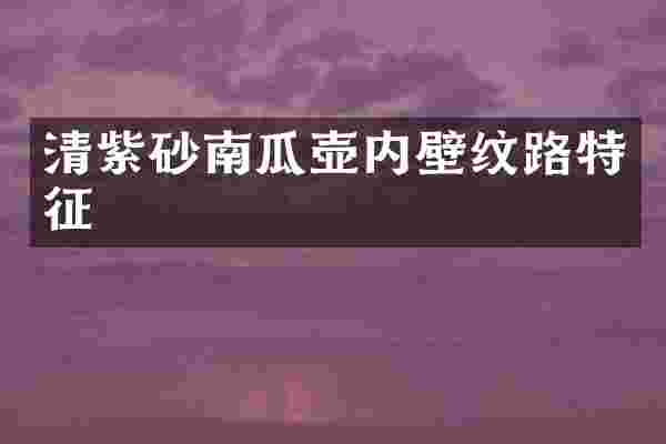 清紫砂南瓜壶内壁纹路特征