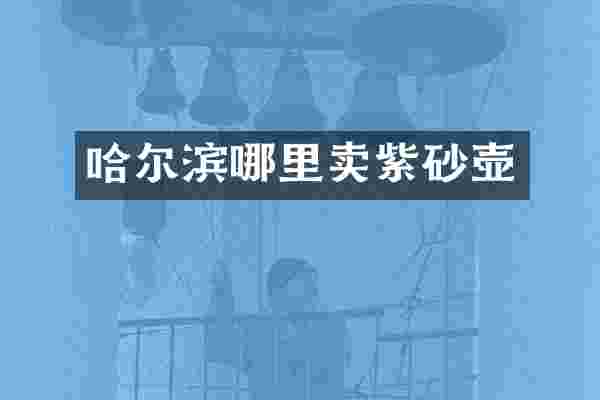 哈尔滨哪里卖紫砂壶