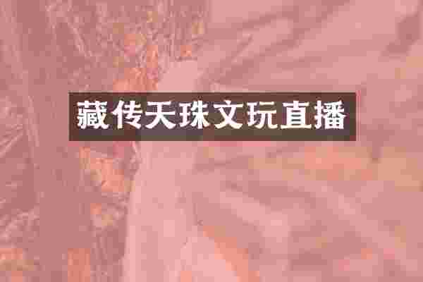 藏传天珠文玩直播