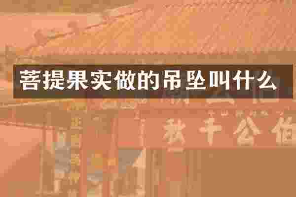 菩提果实做的吊坠叫什么