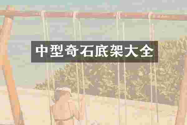 中型奇石底架大全