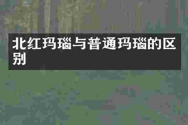 北红玛瑙与普通玛瑙的区别