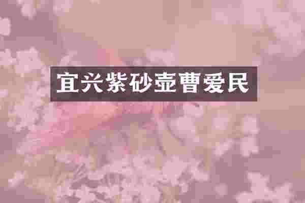 宜兴紫砂壶曹爱民