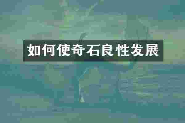 如何使奇石良性发展